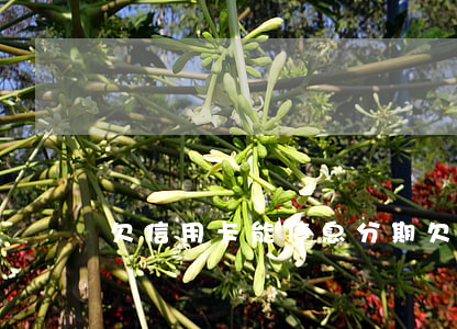 欠信用卡能停息分期 欠信用卡能停息掛賬嗎