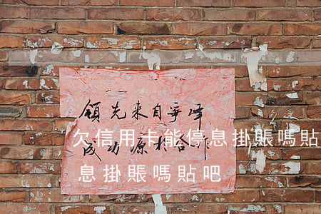 欠信用卡能停息掛賬嗎貼吧-欠信用卡能停息掛賬嗎貼吧