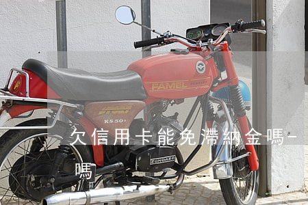 欠信用卡能免滯納金嗎-欠信用卡可以免息嗎