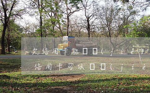 欠信用卡能凍結(jié)其他銀行卡嗎(欠信用卡可以凍結(jié)我的所有資產(chǎn)嗎?)