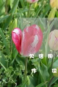 欠信用卡能出勞務嗎 欠信用卡銀行可以去工作單位嗎?