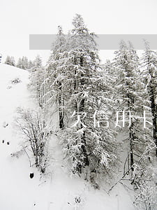 欠信用卡能出國(guó)