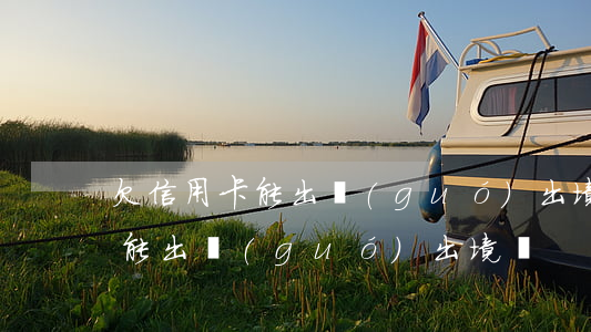 欠信用卡能出國(guó)出境嗎(欠信用卡能出國(guó)出境嗎)