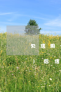 欠信用卡能出國(guó)嗎（出國(guó)后信用卡逾期了怎么處理）