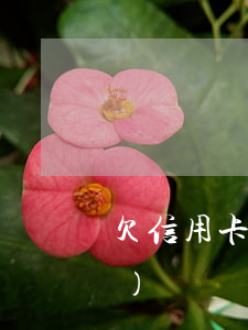 欠信用卡能出境(欠信用卡可以出國(guó)嗎?)