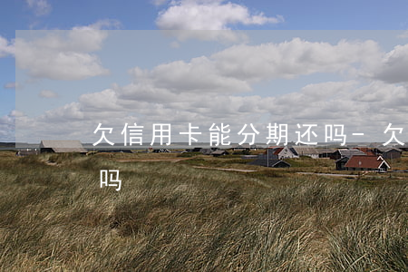 欠信用卡能分期还吗-欠信用卡可以分期还吗