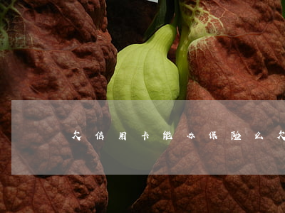 欠信用卡能办保险么(欠信用卡可以办卡吗)
