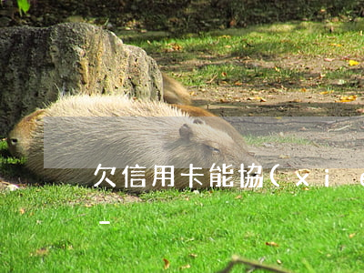 欠信用卡能協(xié)商還清減免利息嗎-