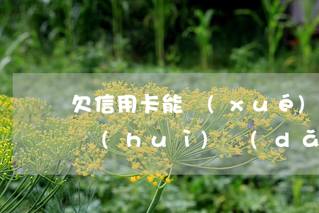 欠信用卡能學(xué)駕照嗎（信用卡逾期會(huì)導(dǎo)致不能學(xué)駕照嗎）