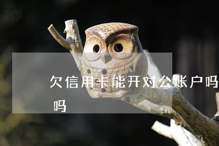 欠信用卡能开对公账户吗（欠信用卡可办公账吗）