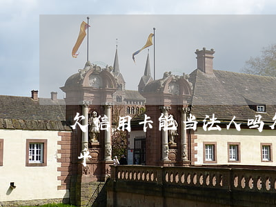 欠信用卡能当法人吗(欠信用卡能当法人吗知乎)