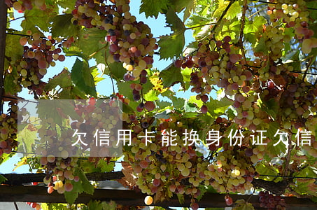 欠信用卡能换身份证（欠信用卡能换身份证）