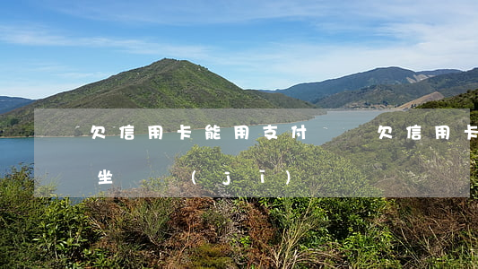欠信用卡能用支付寶嗎(欠信用卡的錢還可以坐飛機(jī)嗎)