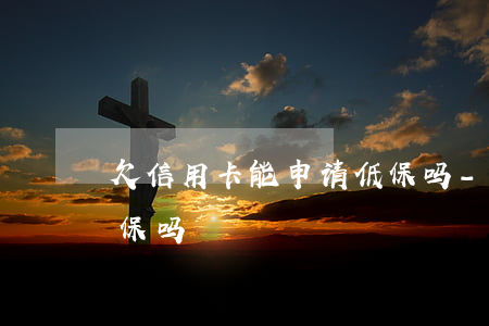 欠信用卡能申请低保吗-欠信用卡钱能办低保吗