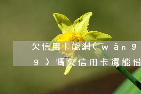 欠信用卡能網(wǎng)吧上網(wǎng)嗎(欠信用卡還能借網(wǎng)貸嗎)