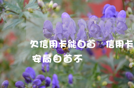 欠信用卡能自首(還信用卡還不起了,可以去公安局自首不)