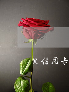 欠信用卡能貸房貸(欠信用卡是不是不能貸房貸)