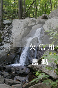 欠信用卡能貼息貸款嗎(欠信用卡錢能減免利息嗎)