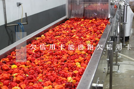 欠信用卡能逃跑(欠信用卡逃跑會不會被通緝)