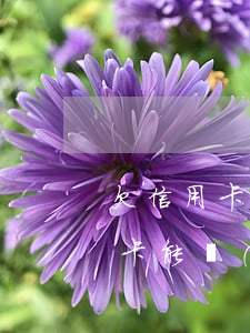 欠信用卡能進(jìn)廠上班嗎-欠信用卡能進(jìn)廠上班嗎有影響嗎