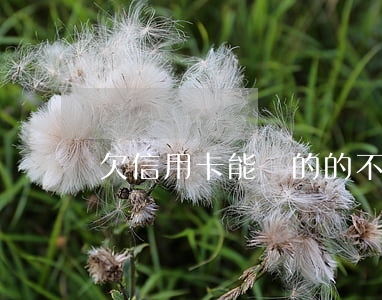 欠信用卡能開的的不-欠信用卡可以辦卡嗎