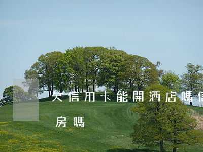 欠信用卡能開酒店嗎（信用卡逾期可以開酒店房嗎）