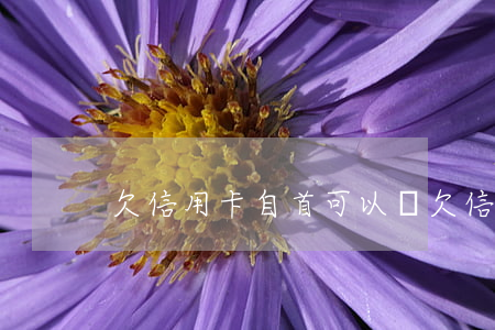 欠信用卡自首可以嗎(欠信用卡自首有用嗎)