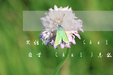欠信用卡自首會(huì)怎么判（欠信用卡自首會(huì)怎么判）