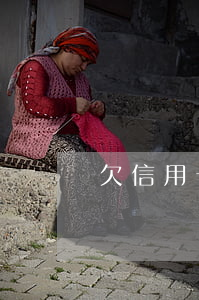 欠信用卡 自首(欠信用卡自首)