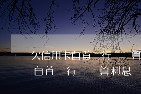 欠信用卡自首銀行還會算利息嗎-欠信用卡自首銀行還會算利息嗎知乎