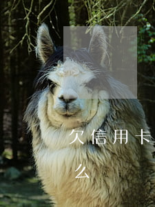 欠信用卡與網(wǎng)貸100w會怎么樣