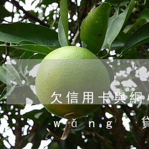 欠信用卡與網(wǎng)貸還不起(欠網(wǎng)貸和欠信用卡哪個嚴(yán)重)