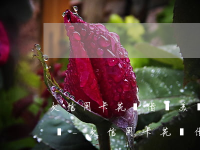 欠信用卡花唄借唄美團(tuán)欠款不還-欠信用卡花唄借唄美團(tuán)欠款不還,妻子有影響嗎