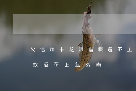 欠信用卡 花唄 借唄還不上(支付寶花唄借唄欠款還不上怎么辦)