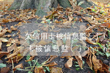 欠信用卡被信息監(jiān)控嗎(欠信用卡被信息監(jiān)控嗎怎么查)