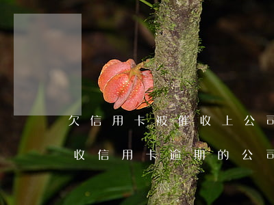 欠信用卡被催收上公司催收怎么辦（幫銀行催收信用卡逾期的公司）