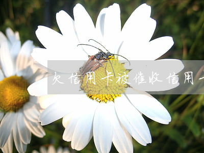 欠信用卡被催收（信用卡逾期嚴(yán)重被催收）
