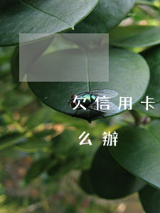 欠信用卡被催收（信用卡逾期收到最后催告怎么辦）