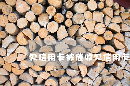 欠信用卡被催收(欠信用卡被催收起訴)
