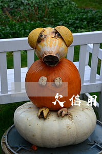 欠信用卡被傳喚(欠信用卡被傳喚)