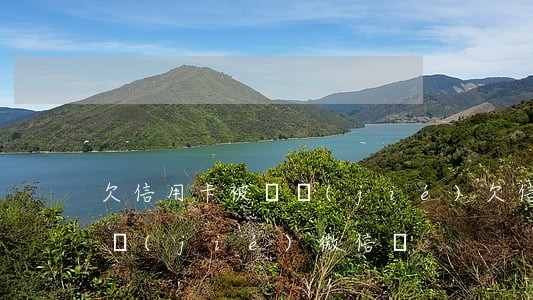 欠信用卡被凍結(jié)(欠信用卡會被凍結(jié)微信嗎)