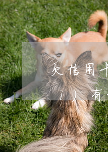欠信用卡被凍結(jié)銀行卡會(huì)有提醒嗎-欠信用卡被凍結(jié)銀行卡會(huì)有提醒嗎怎么辦