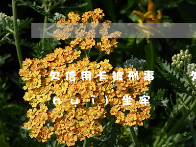 欠信用卡被刑事訴訟(欠信用卡刑事訴訟會(huì)坐牢嗎)