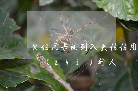 欠信用卡被列入失信（信用卡逾期列入被失信執(zhí)行人嗎）