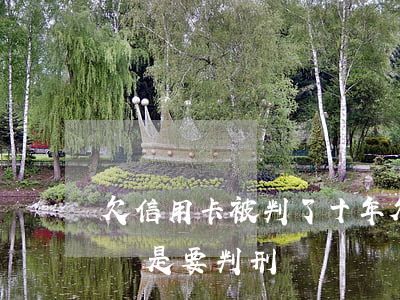 欠信用卡被判了十年(欠信用卡判刑出來沒還還是要判刑嗎)