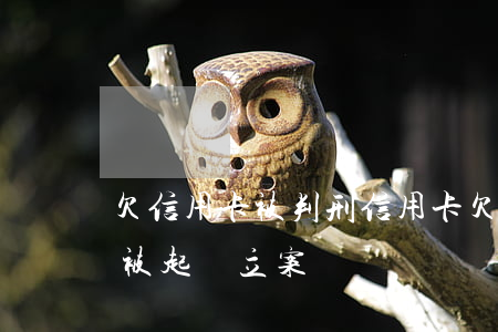 欠信用卡被判刑(信用卡欠多少會(huì)被起訴立案)