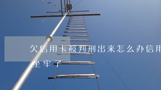 欠信用卡被判刑出来怎么办（信用卡逾期被判坐牢了）