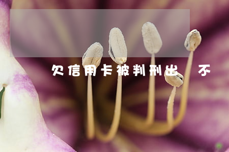 欠信用卡被判刑出獄不還