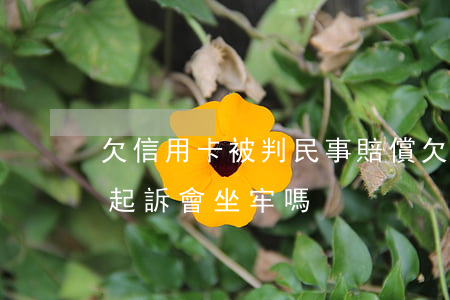 欠信用卡被判民事賠償(欠信用卡的錢被民事起訴會坐牢嗎?)