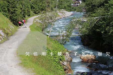 欠信用卡被告了怎么辦(欠信用卡被告上法院)
